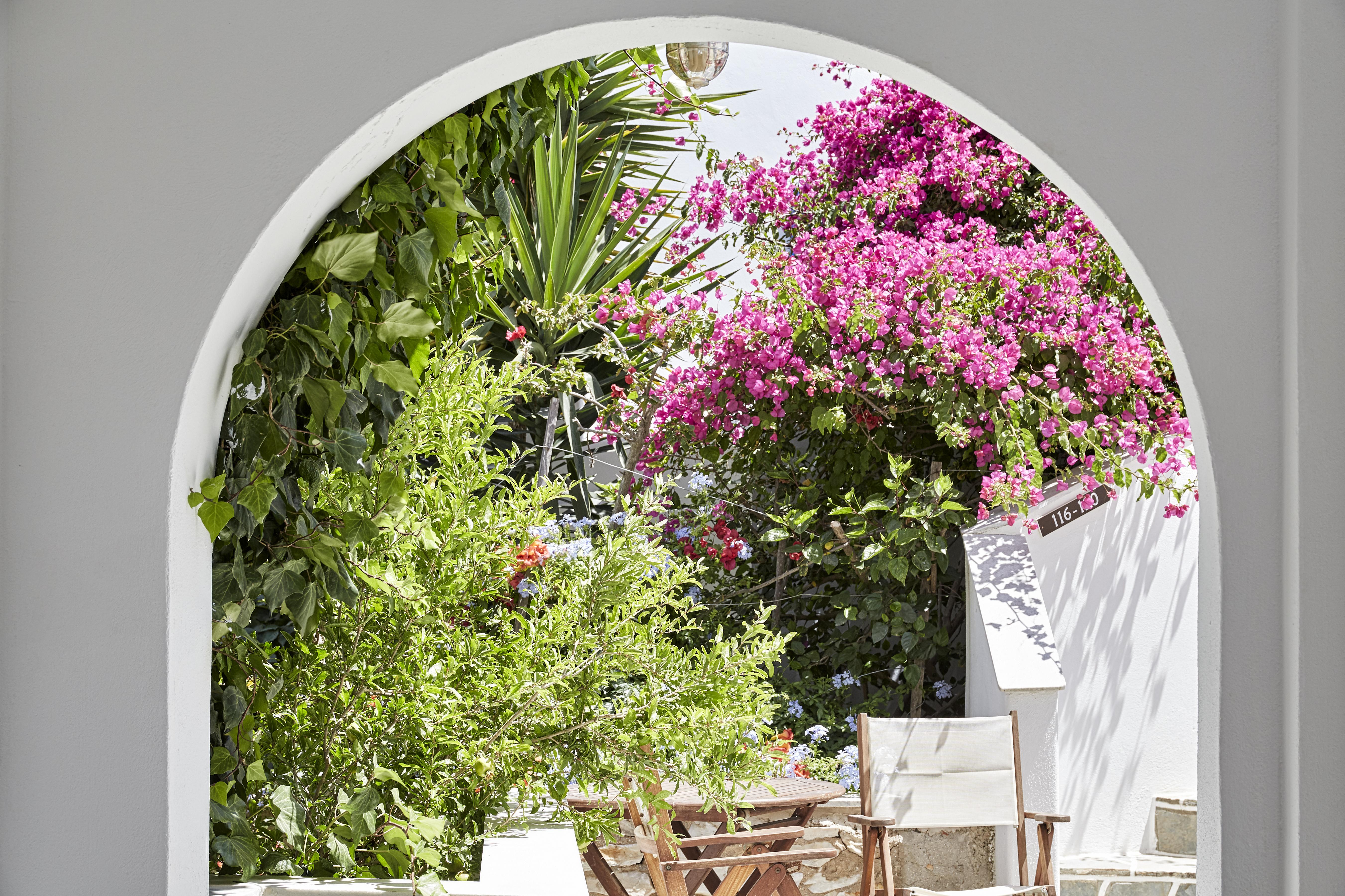 Sunrise Paros 3* Naousa (Paros)
